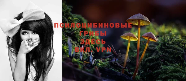 a pvp Киренск