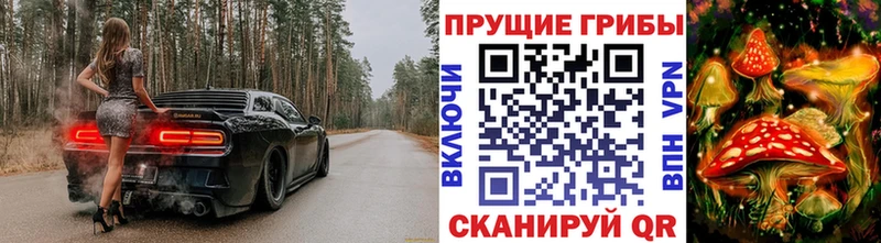 Купить где  Межгорье  Галлюциногенные грибы Cubensis 